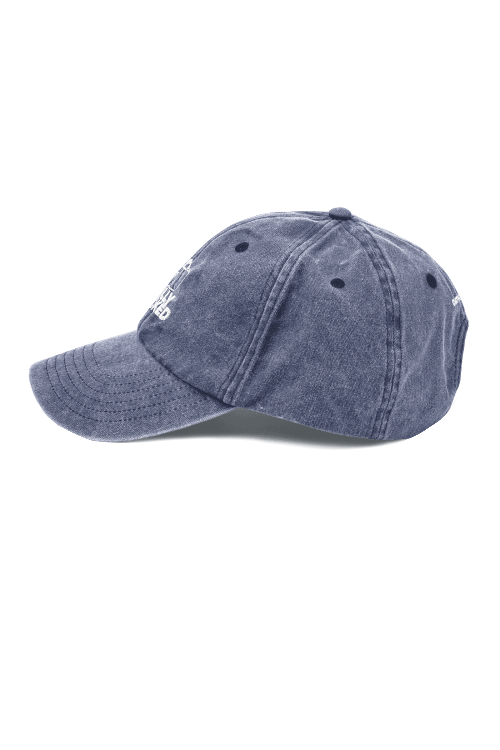 FULLY BOOKED CAP